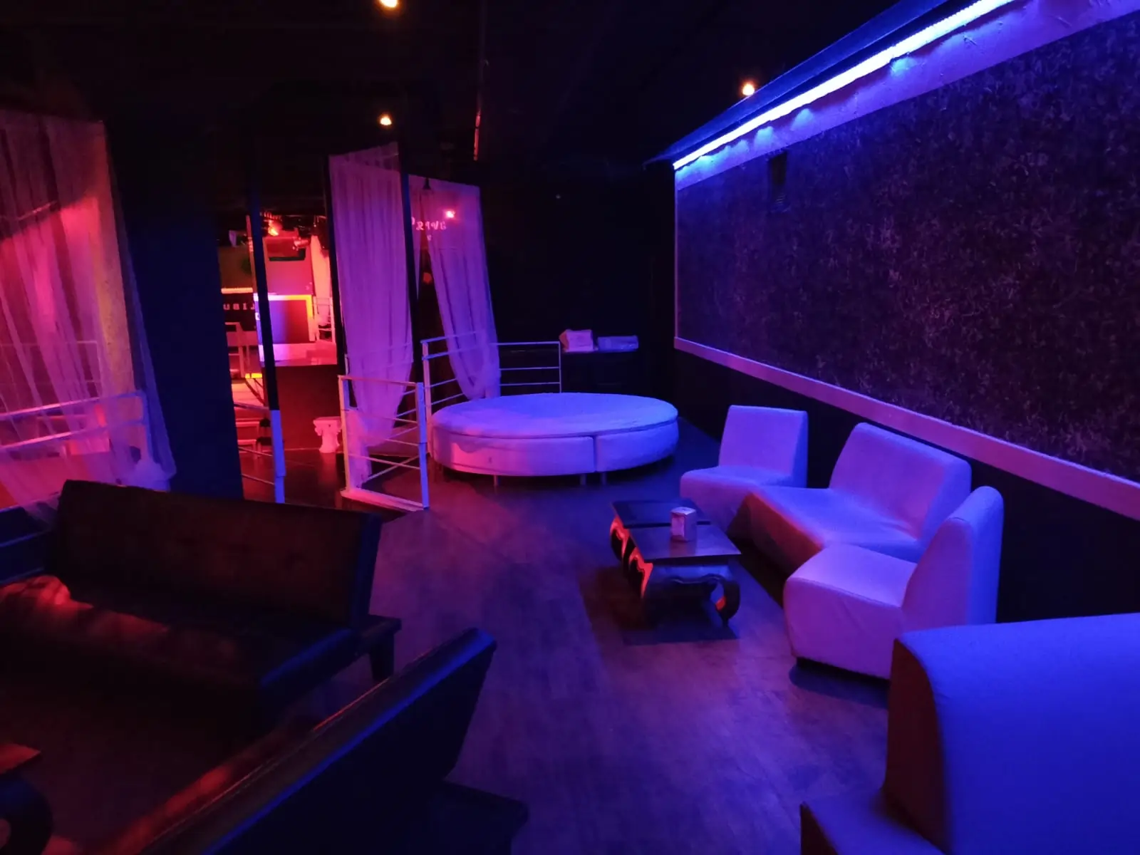 A4-Salottini Disco Club H.webp