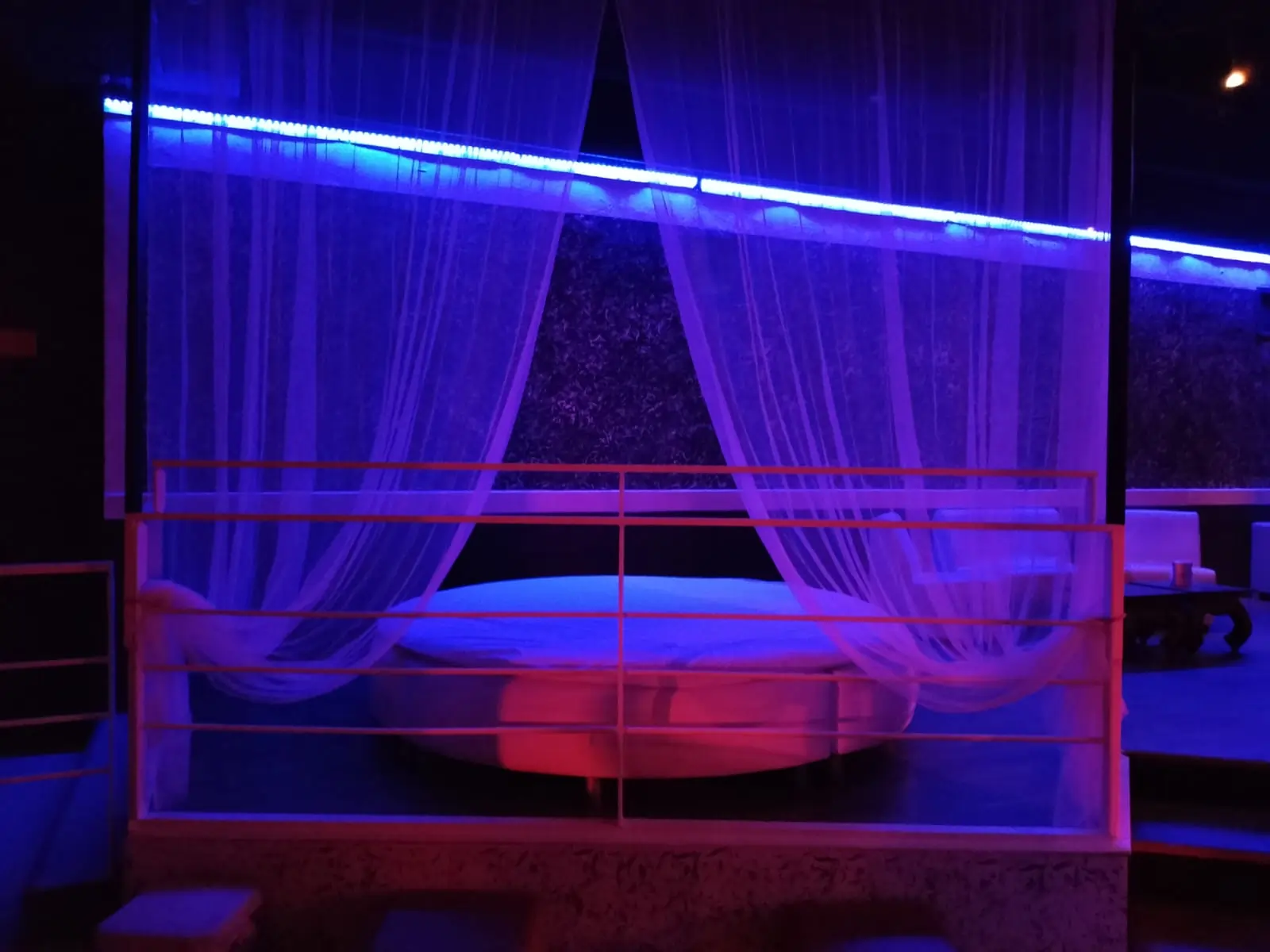A91-Salottini Disco Club H.webp