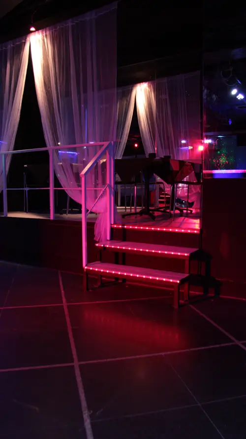 53-Disco Swinger V.webp
